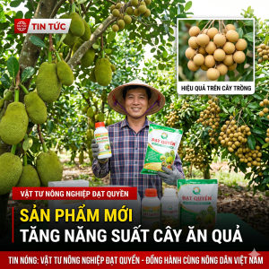 bi-quyet-cai-tao-dat-va-phuc-hoi-vuon-cay-an-qua-tu-vat-tu-nong-nghiep-dat-quyen