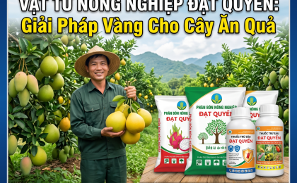 Bí Quyết Xử Lý Sâu Bệnh Trên Cây Ăn Quả Hiệu Quả Từ Vật Tư Nông Nghiệp Đạt Quyền