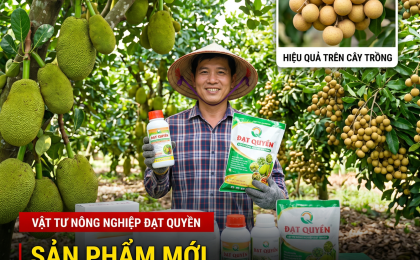 Bí Quyết Cải Tạo Đất Và Phục Hồi Vườn Cây Ăn Quả Từ Vật Tư Nông Nghiệp Đạt Quyền