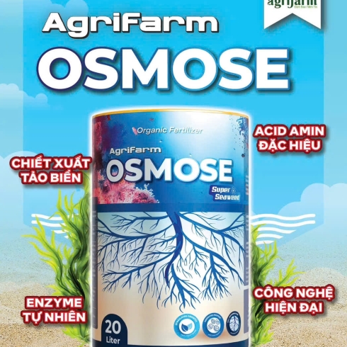 OSMOSE Phục hồi cây sau thu hoạch, kích rễ, dưỡng lá, nuôi trái 