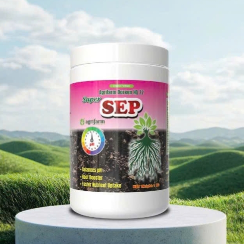 SEP = TỐT RỄ, SẠCH ĐẤT, KHỎE CÂY